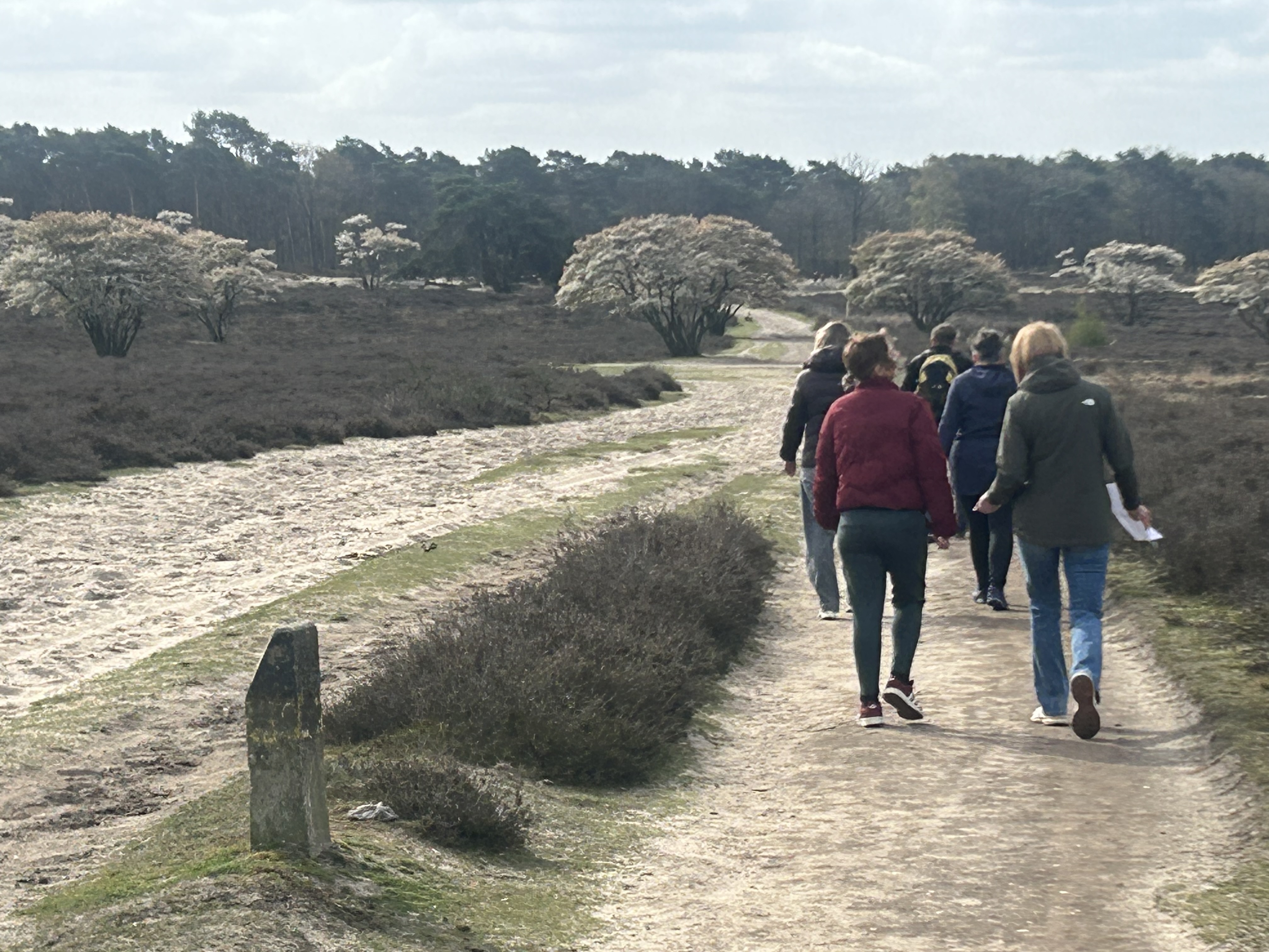 Beleef ACT buiten in beweging