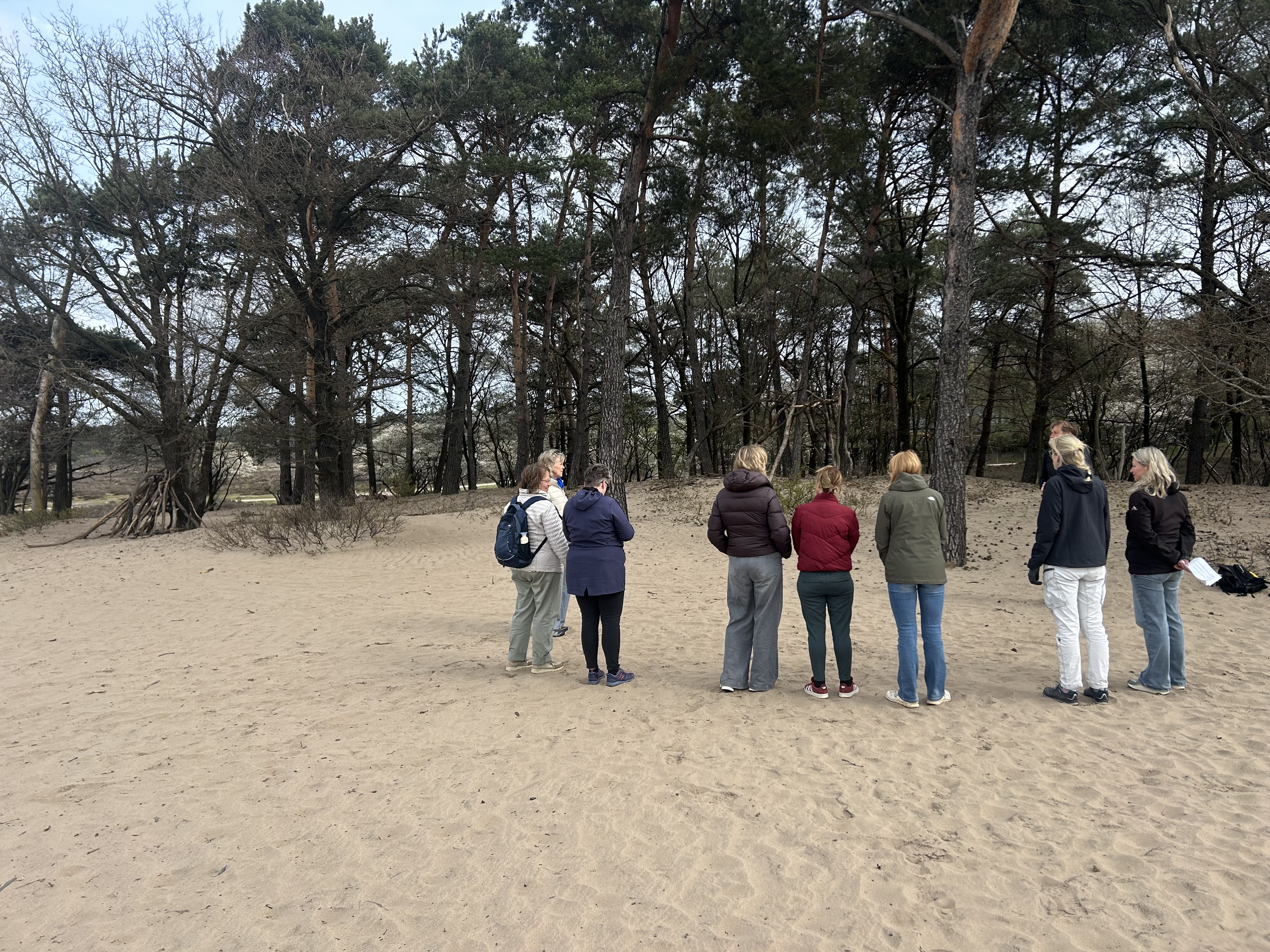 Vitaliteitscoaching en teambuilding voor bedrijven