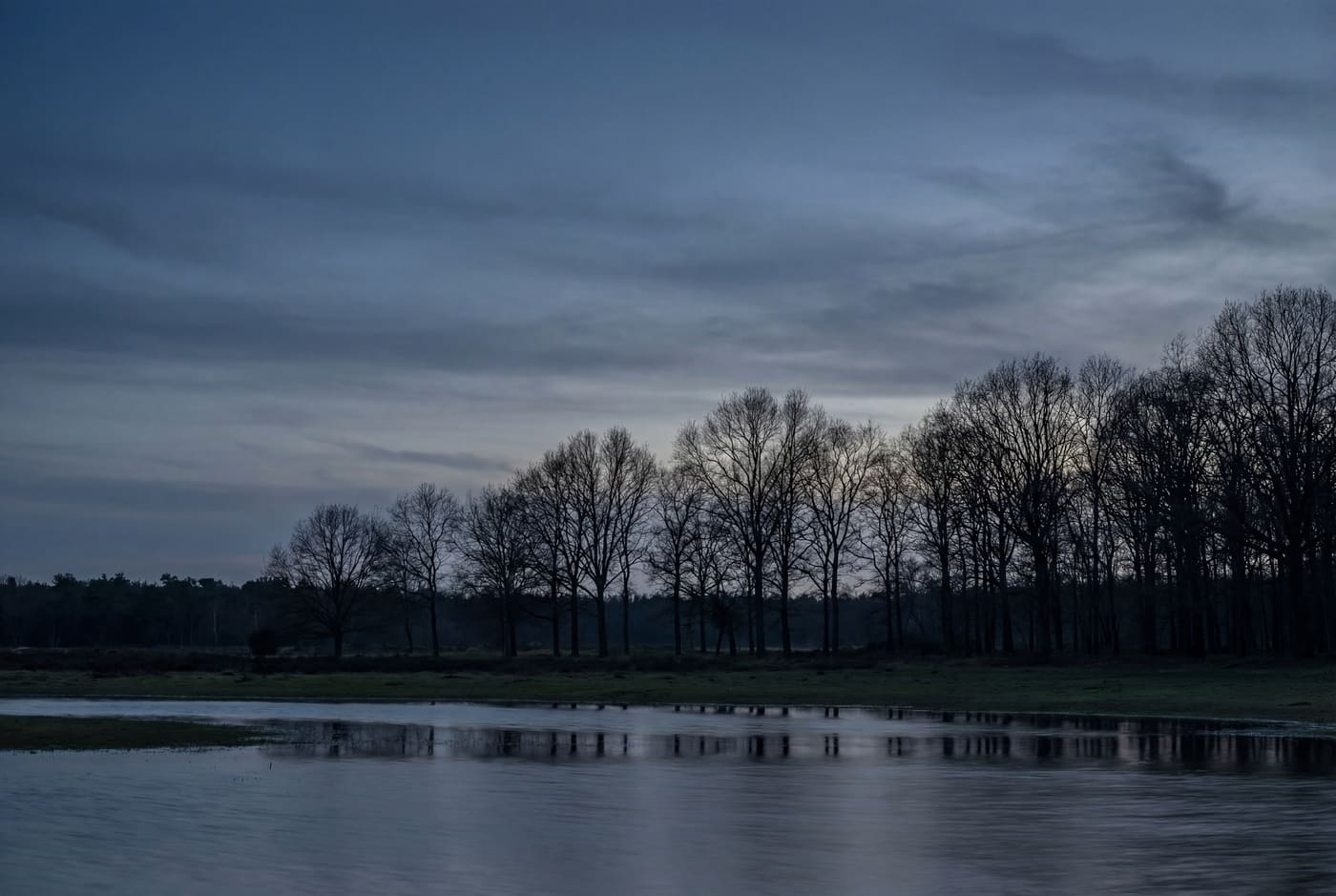 Buitencoaching in het Goois Natuurreservaat