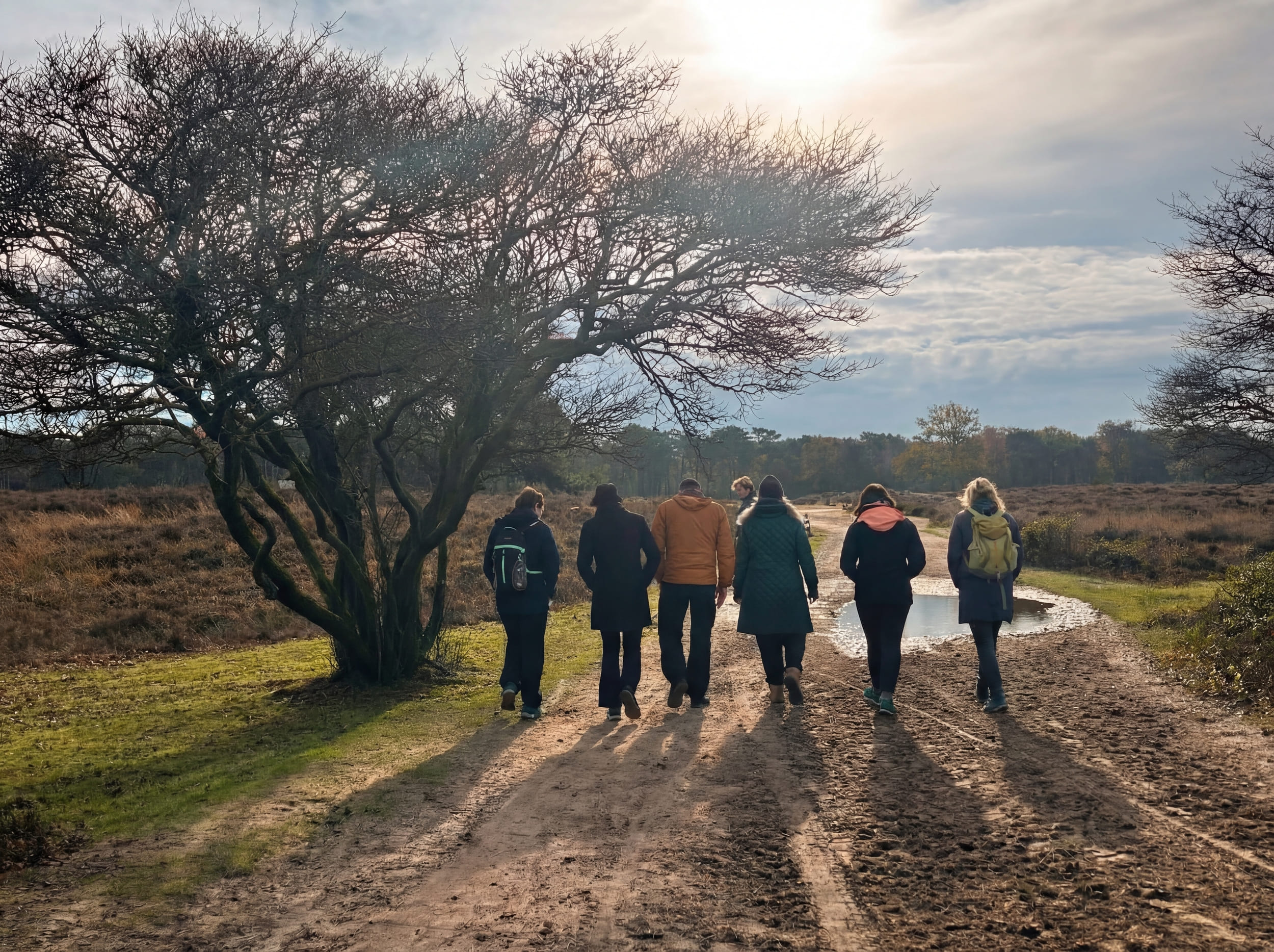 Buitencoaching in het Goois Natuurreservaat
