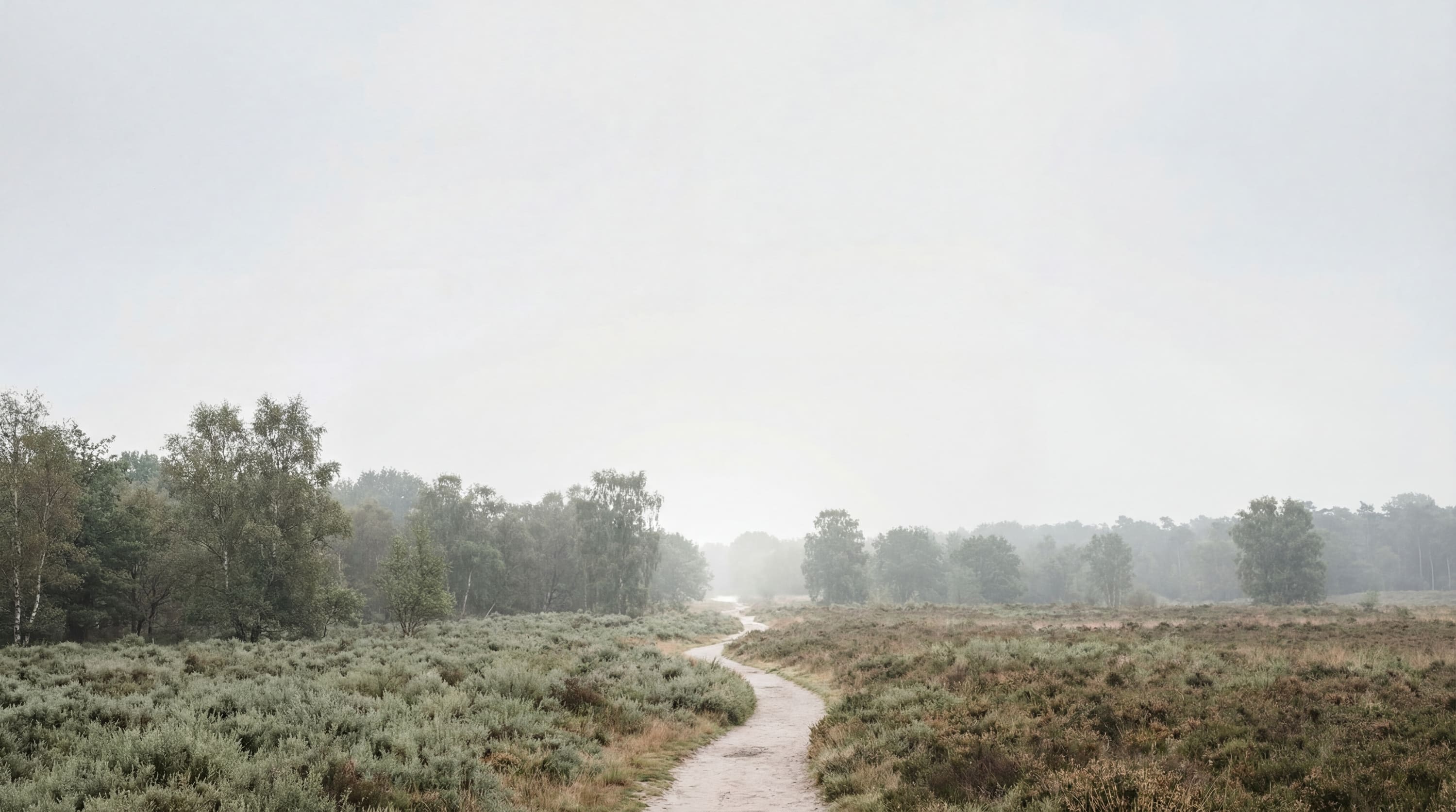 Natuur achtergrond